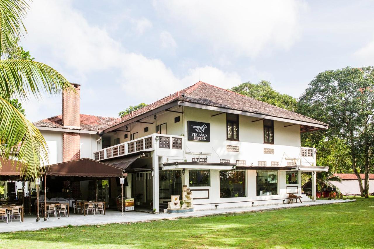 Oyo 104 Pegasus Hotel Singapore Exterior photo
